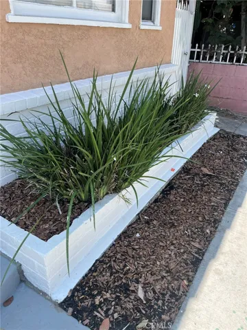 1222 E 10th Street, Long Beach, California 90813