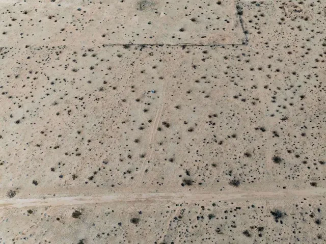 61376 Venus Dr, Joshua Tree, California 92252