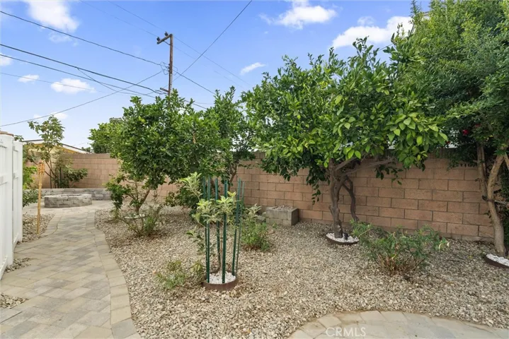 Multiple fruit trees and up lights to illuminate in the evenings.