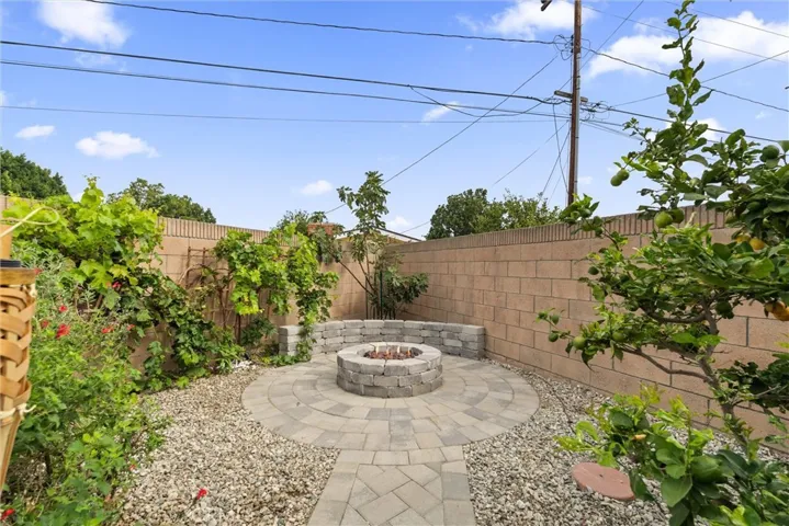 Fire pit, freshly laid pavers and grapevines.
