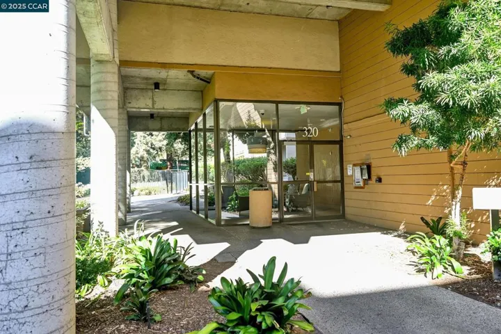 320 N Civic Dr 310, Walnut Creek, California 94596