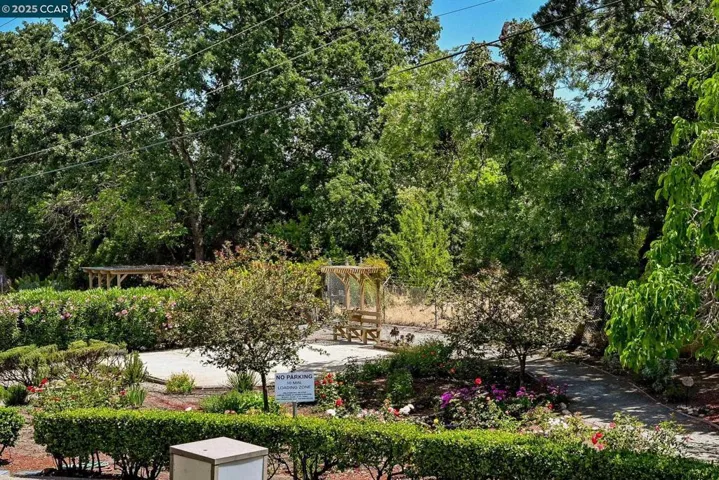 320 N Civic Dr 310, Walnut Creek, California 94596