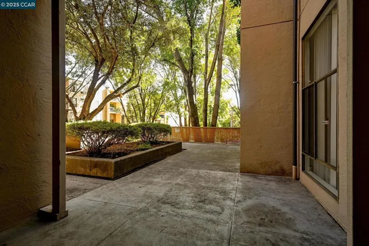 320 N Civic Dr 310, Walnut Creek, California 94596