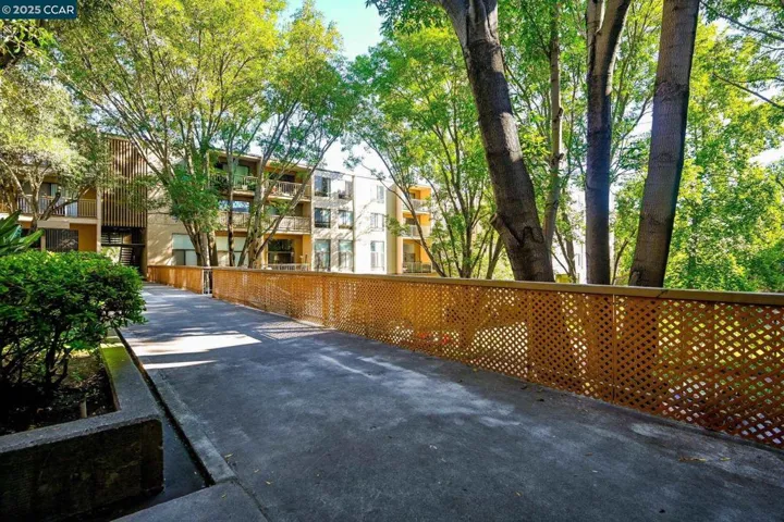 320 N Civic Dr 310, Walnut Creek, California 94596