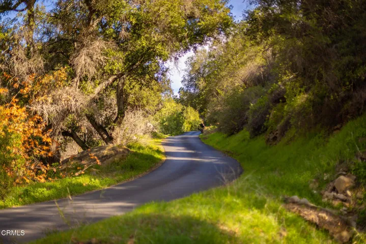 S8C_North Fork Matilija Creek_05