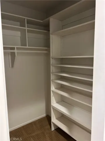 primary bedroom walk-in closet