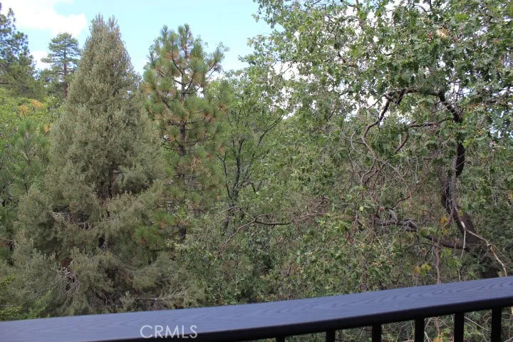 556 Villa Grove Avenue, Big Bear City, California 92314 home-pic-29