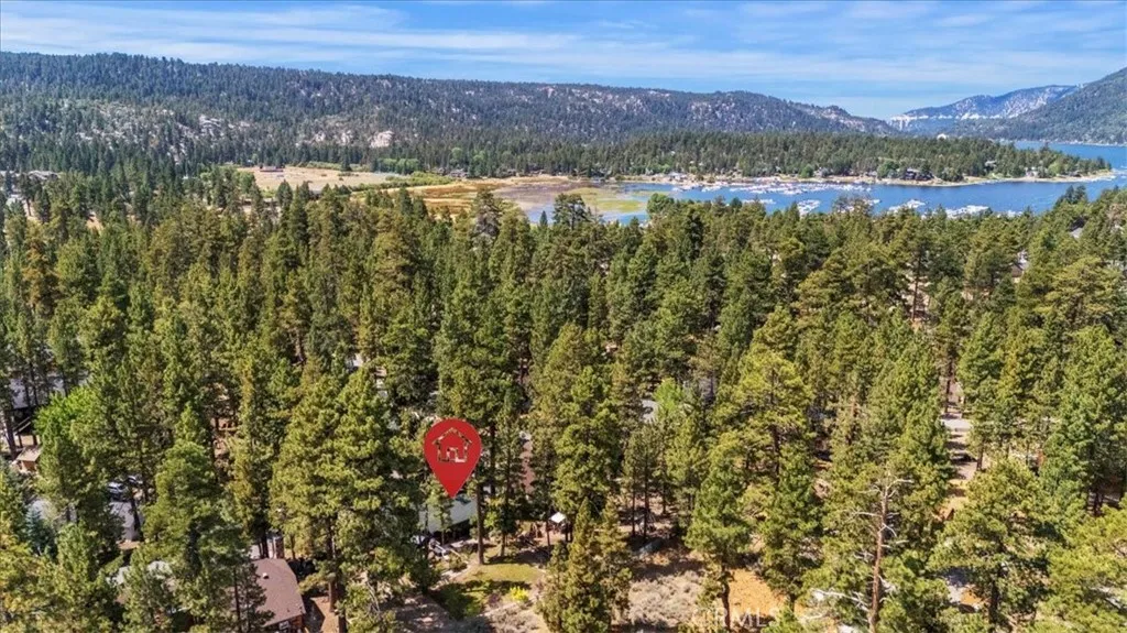 39934 Forest Road, Big Bear Lake, California 92315 home-pic-39
