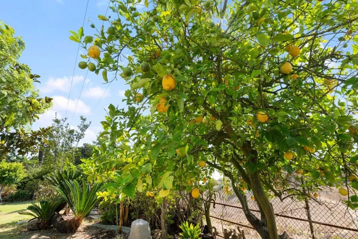 3241 Belle River Drive, Hacienda Heights, California 91745