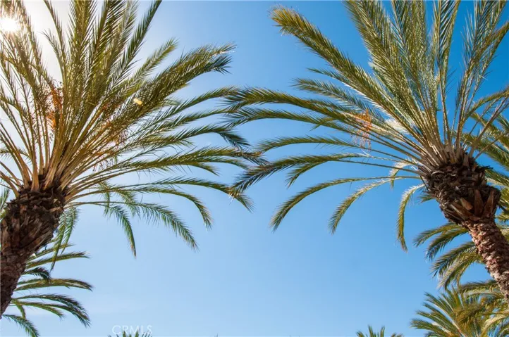 5441 Ocean 102, Hawthorne, California 90250