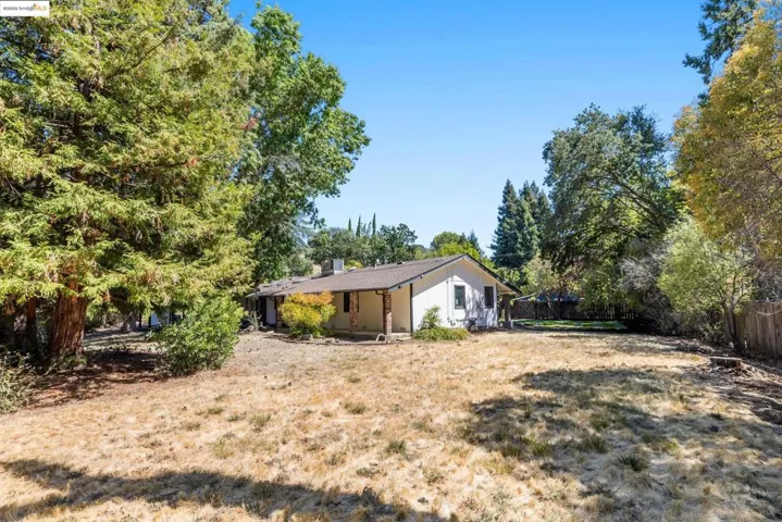 View of yard featuring view of scattered trees