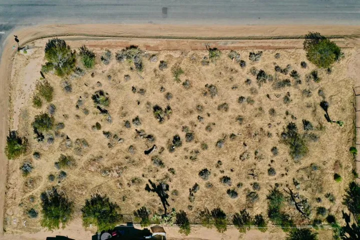 DJI61