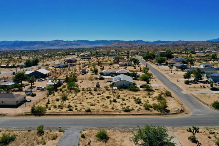 DJI1