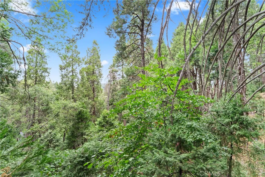 23774 Lakeview Drive, Crestline, California 92325 home-pic-16
