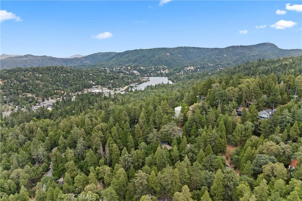 23774 Lakeview Drive, Crestline, California 92325 home-pic-14