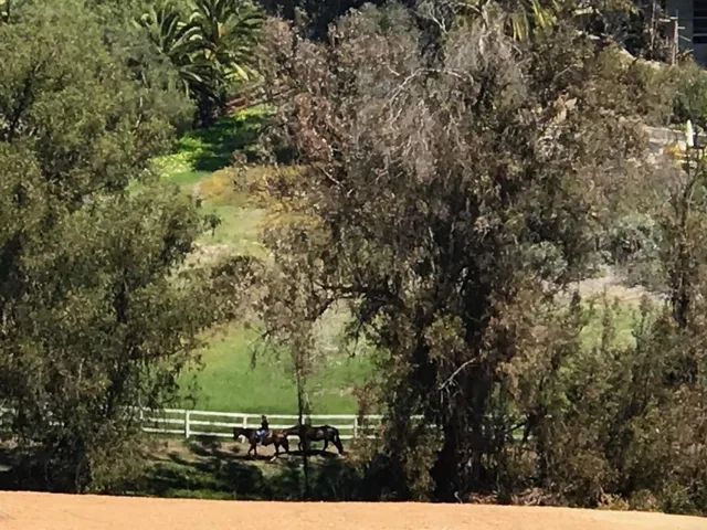 5470 La Crescenta, Rancho Santa Fe, California 92067