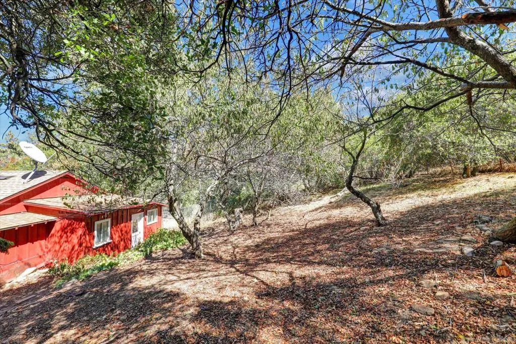 3174 Salton Vista, Julian, California 92036 home-pic-14