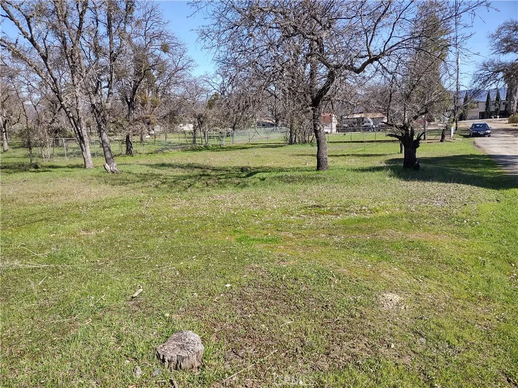 large, level lot