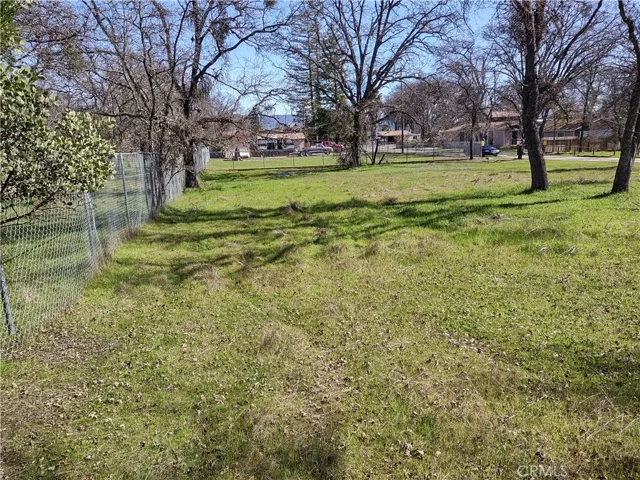 view along back fence line