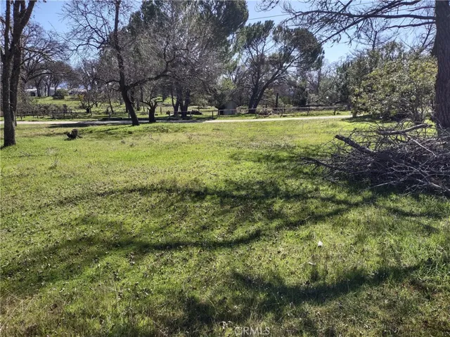 view from far back corner
