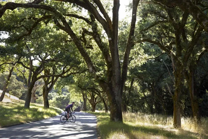 Miles of Biking
