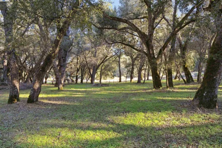 Welcome to 11 Arroyo Sequoia