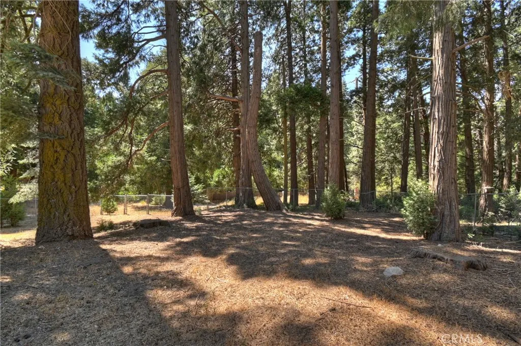 386 Garden Drive, Cedarpines Park, California 92322 home-pic-32