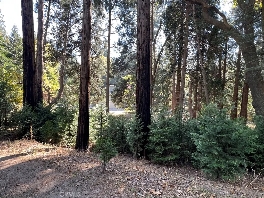 386 Garden Drive, Cedarpines Park, California 92322 home-pic-42
