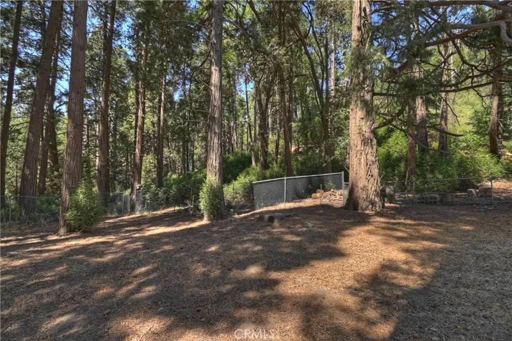 386 Garden Drive, Cedarpines Park, California 92322 home-pic-34