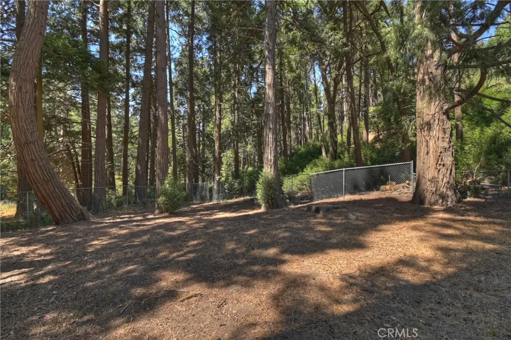 386 Garden Drive, Cedarpines Park, California 92322 home-pic-33