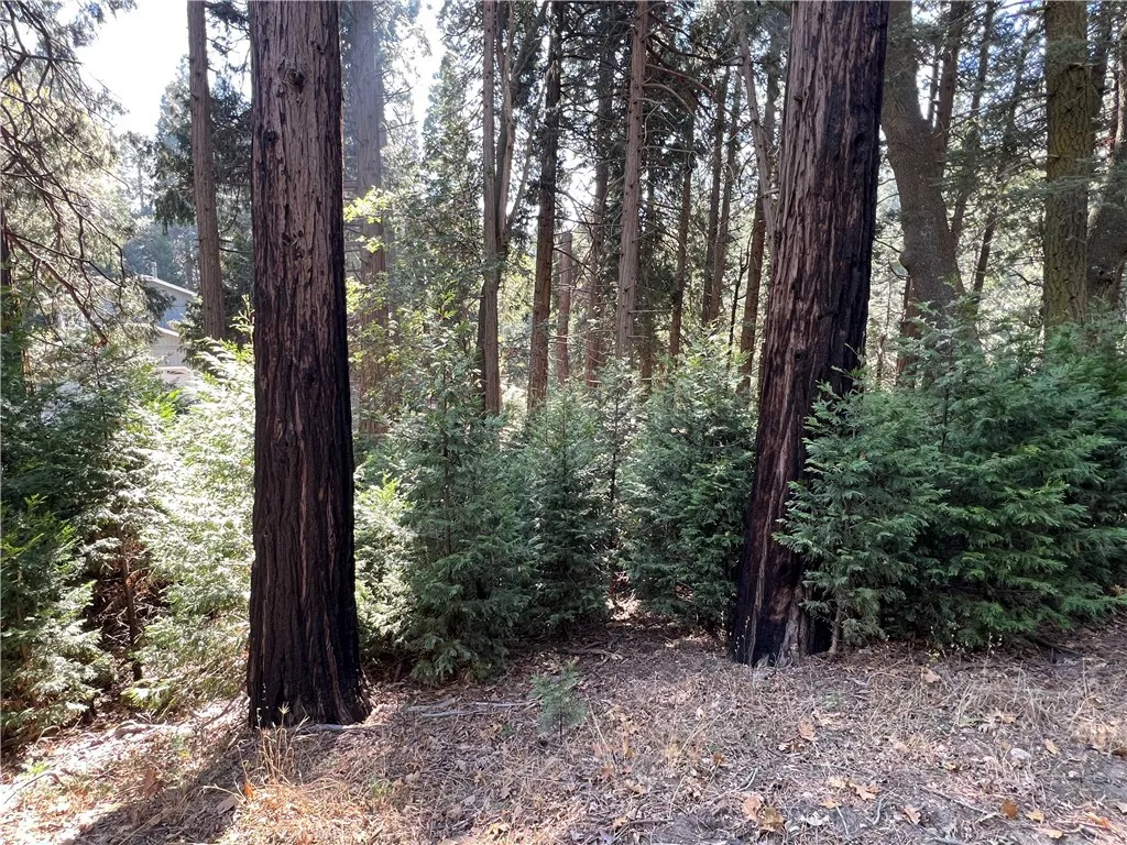 386 Garden Drive, Cedarpines Park, California 92322 home-pic-43