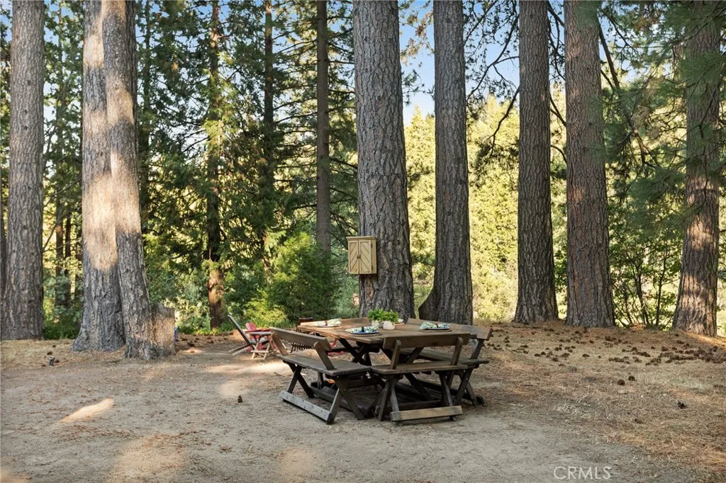 157 Brentwood Drive, Lake Arrowhead, California 92352 home-pic-57