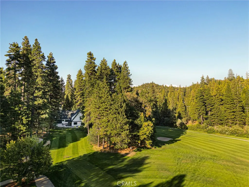 157 Brentwood Drive, Lake Arrowhead, California 92352 home-pic-63