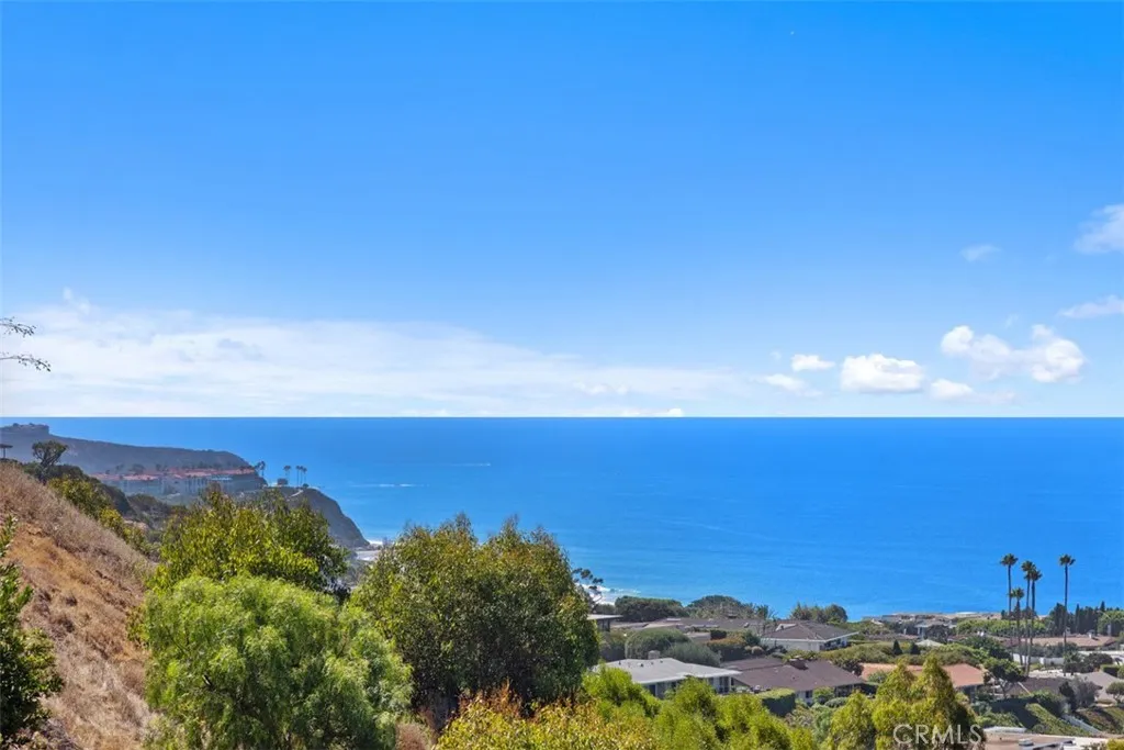 32311 Caribbean Drive, Dana Point, California 92629 home-pic-47