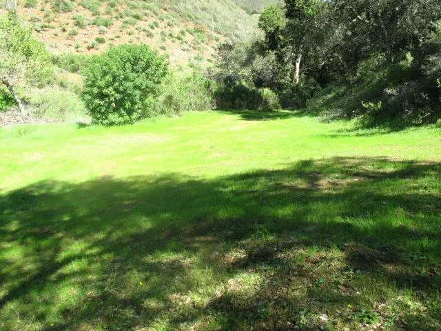 0 Sleepy Valley Road, Morgan Hill, California 95037 — photo 5