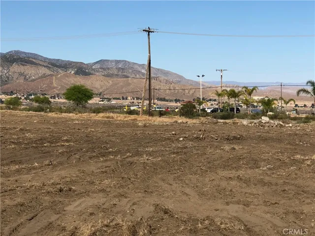 Looking North