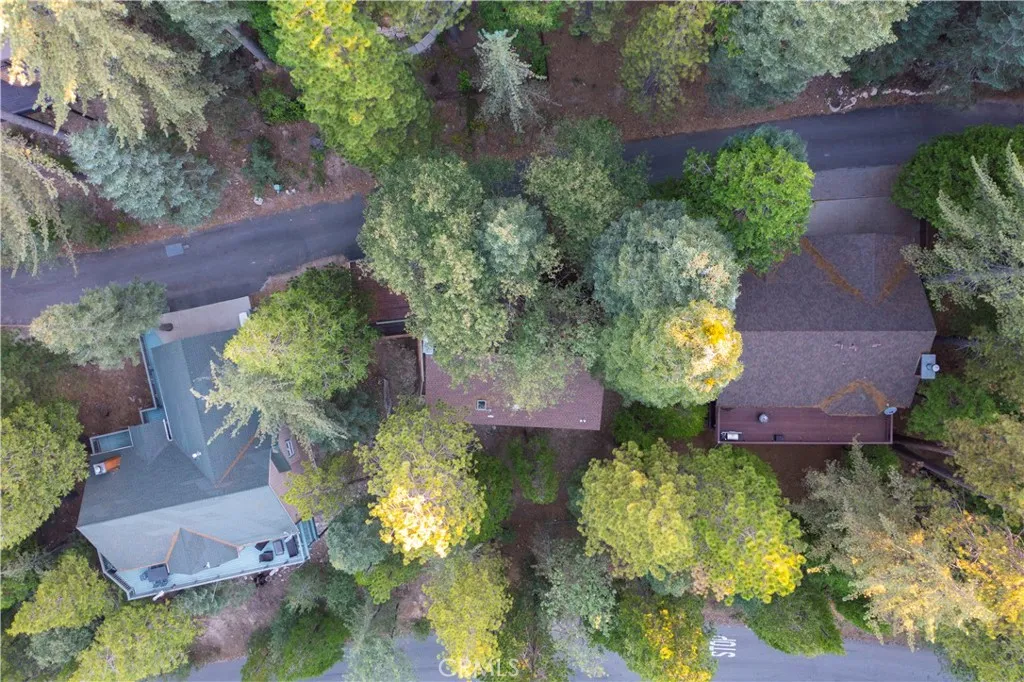 27381 Cottonwood Lane, Lake Arrowhead, California 92317 home-pic-25