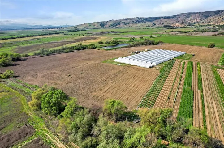 8100 Sofie Court, Hollister, California 95023