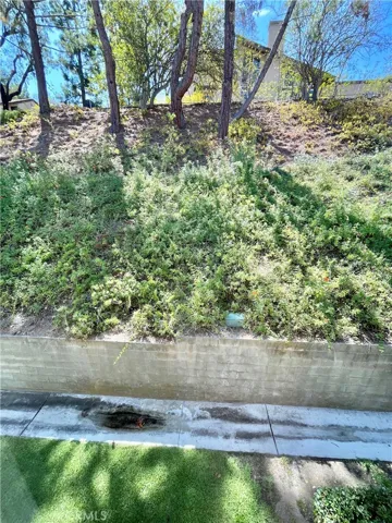 back yard