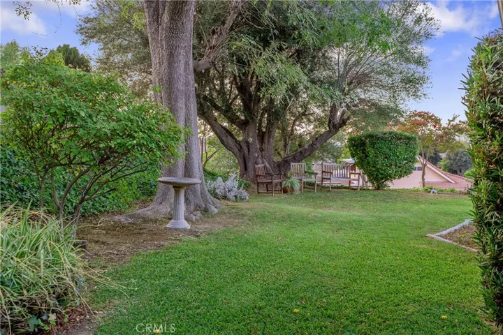 Backyard.