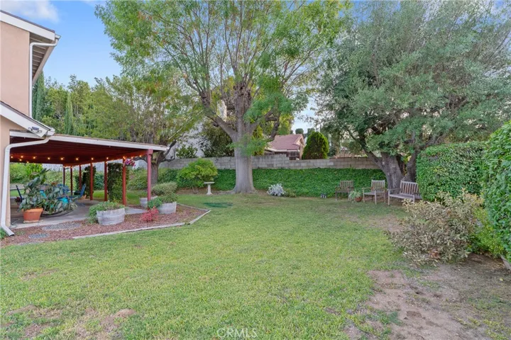 Sideyard and Backyard