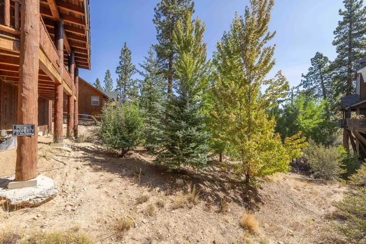 Backyard2-8249