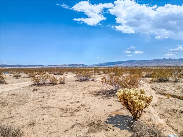 4687 Border Avenue, Joshua Tree, California 92252