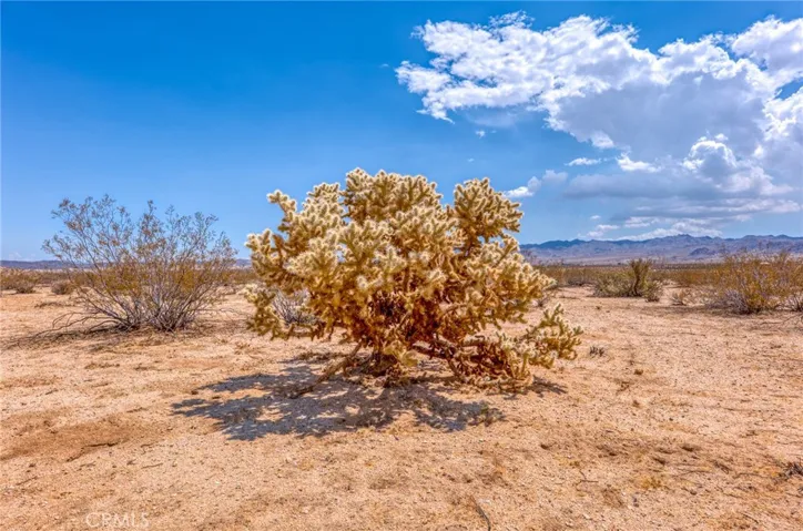 4687 Border Avenue, Joshua Tree, California 92252