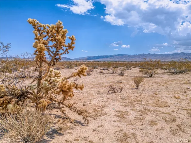 4687 Border Avenue, Joshua Tree, California 92252