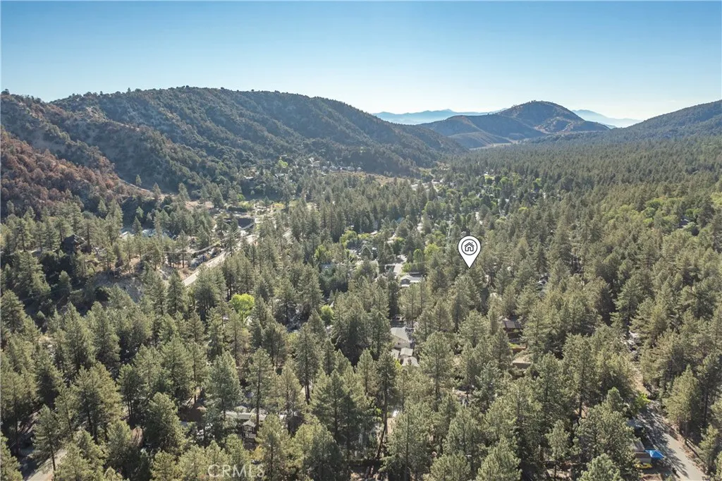 6234 Division Street, Wrightwood, California 92397 home-pic-36