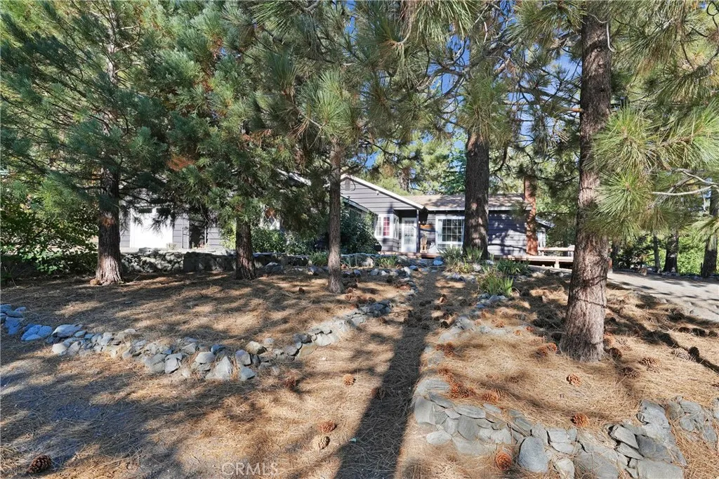 6234 Division Street, Wrightwood, California 92397 home-pic-2