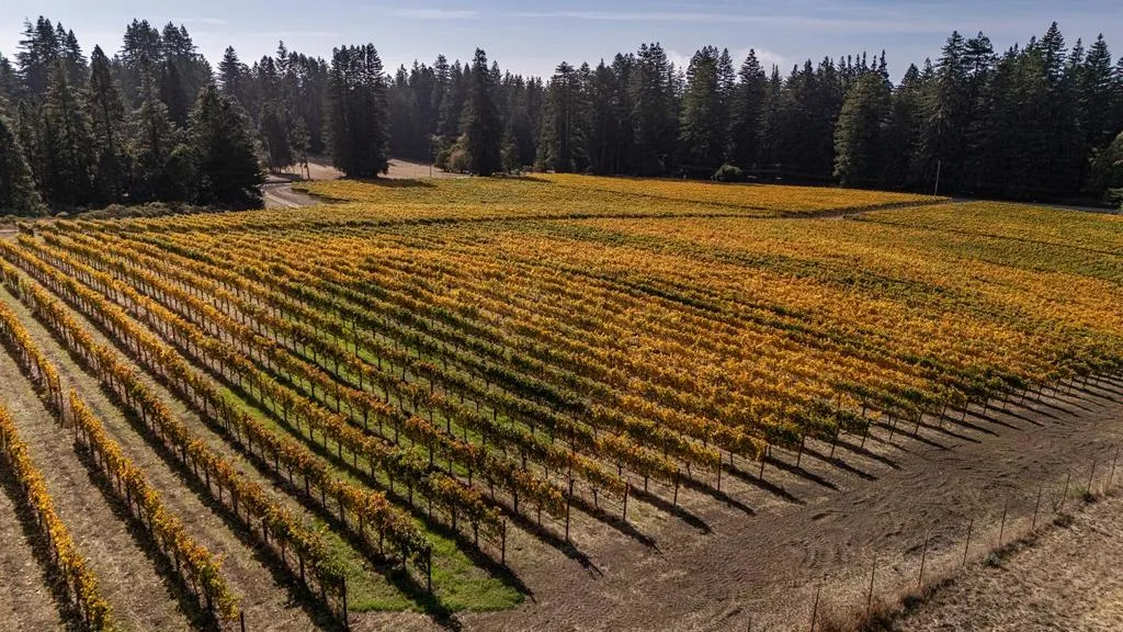 420 Bonnie Brae Road  home-pic-47