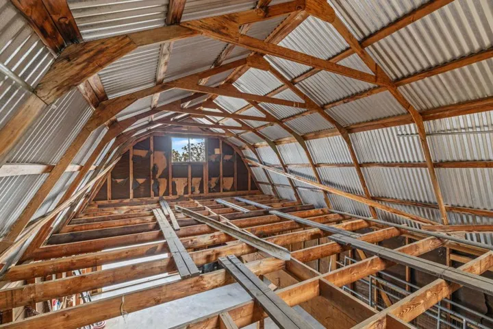 17-web-or-mls-2H8A0043