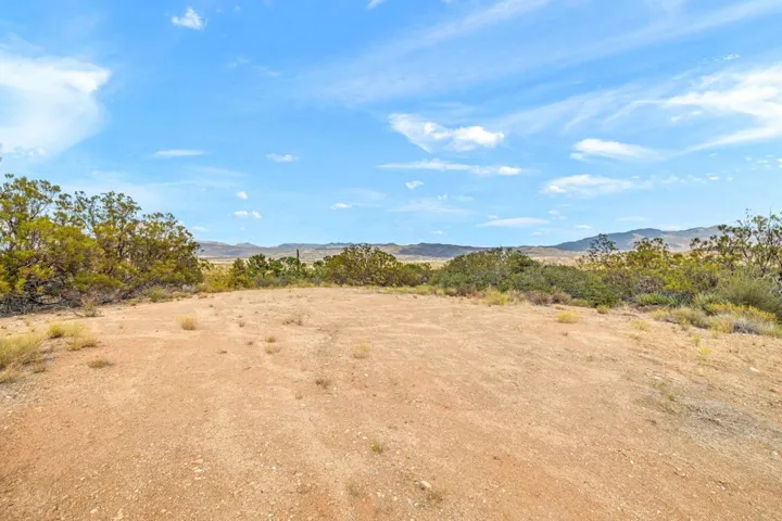 12-web-or-mls-2H8A0074